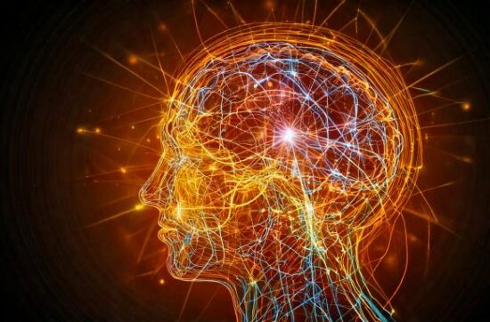 Neuroplasticity and Transformation: Rewiring Your Brain for Positive Change